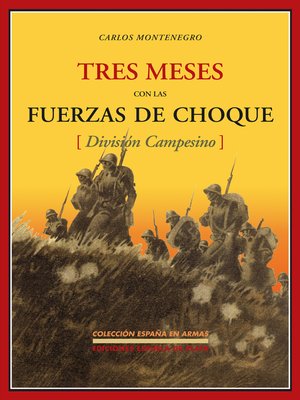 cover image of Tres meses con las fuerzas de choque